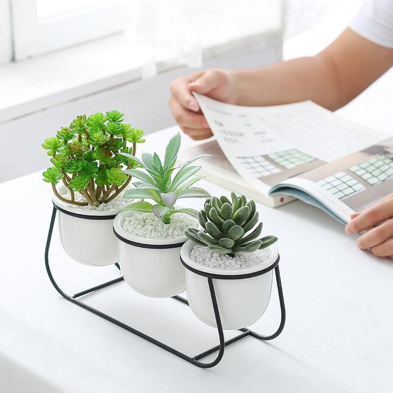 Metal Sleigh Succulent Trio