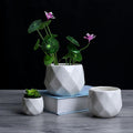 Diamond Ceramic Succulent Pots