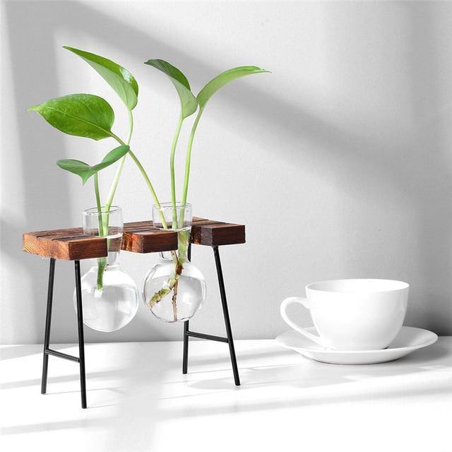 Flourish Propagation Vessel with Metal and Wooden Stand Two Vases