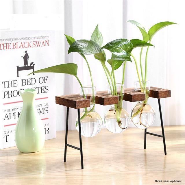 Flourish Propagation Vessel with Metal and Wooden Stand Three Vases