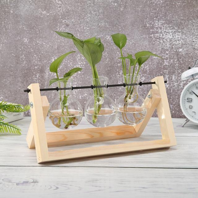 Glass Propagation Vase with A-Frame Wood Stand