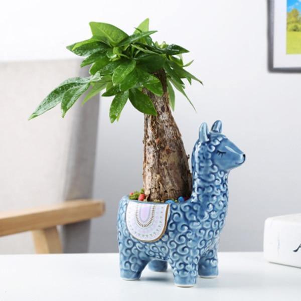 Alpaca Pottery Succulent Planter Blue Looking Ahead