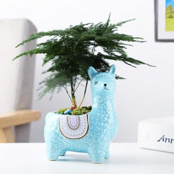Alpaca Pottery Succulent Planter LightSkyBlue Head Turned