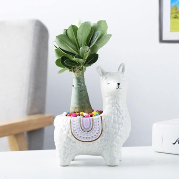 Alpaca Pottery Succulent Planter White Head Turned