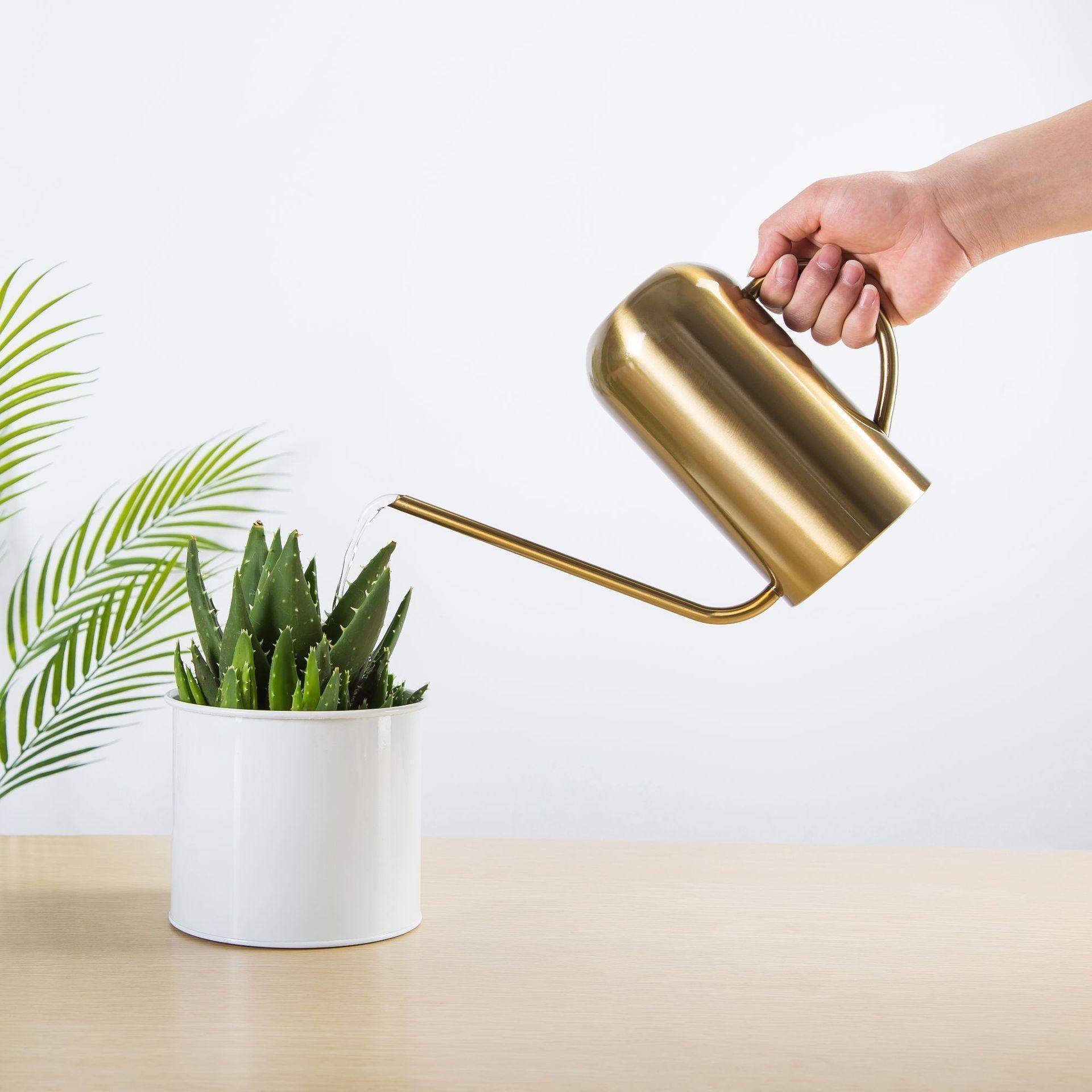 SteelBloom Watering Can Gold