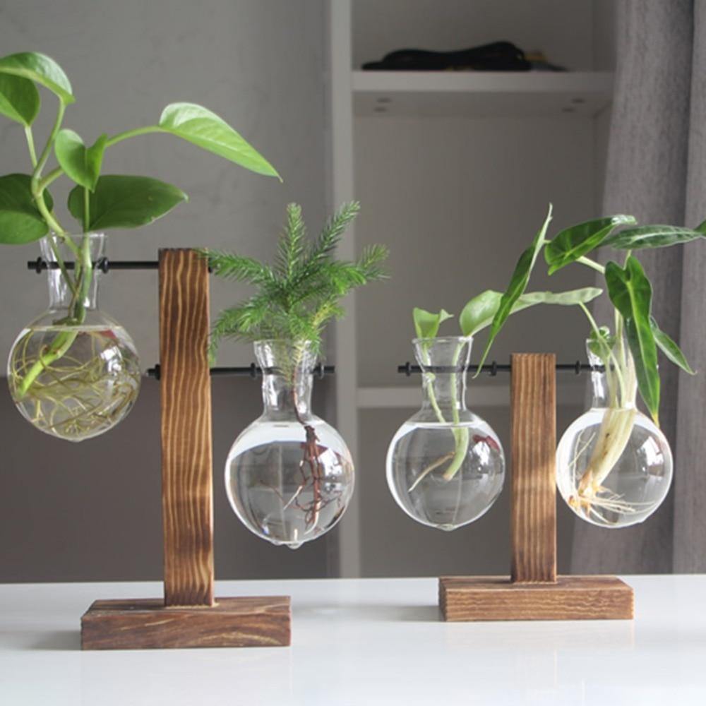 Vertical Bloom Glass Propagator