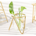 Modern Glass Plant Vase