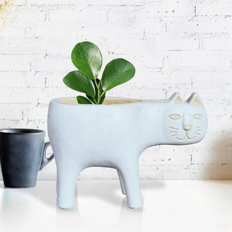 Purrfect Planter Light Cyan