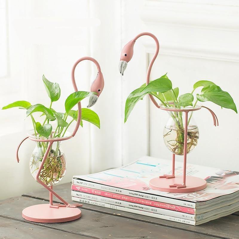 Tropical Flamingo Growth Vessel