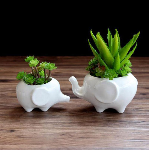 Ceramic Elephant Plant Holder Small | 10x7x6cm