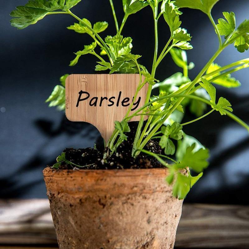 Wooden Plant Label Tags