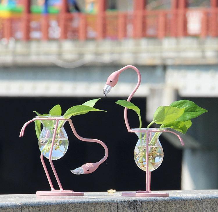 Tropical Flamingo Growth Vessel