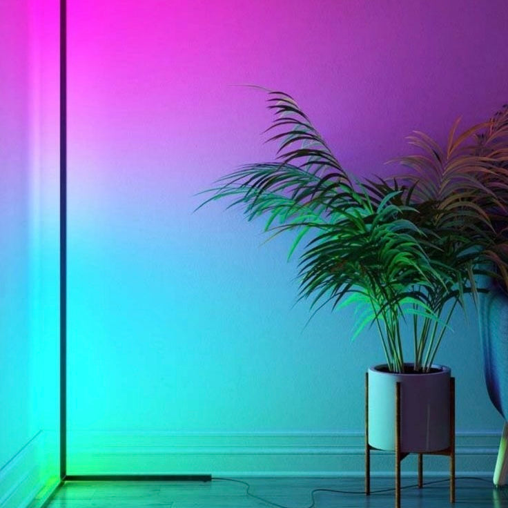 Smart LED Floor Lamp