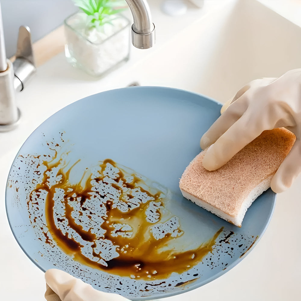 Kohana Coconut Fiber Dish Sponge