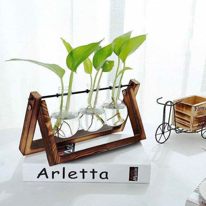 Glass Propagation Vase with A-Frame Wood Stand
