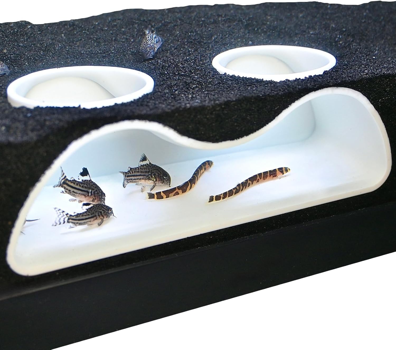 AquaVault™ - Aquarium Underground Curve Tunnel White